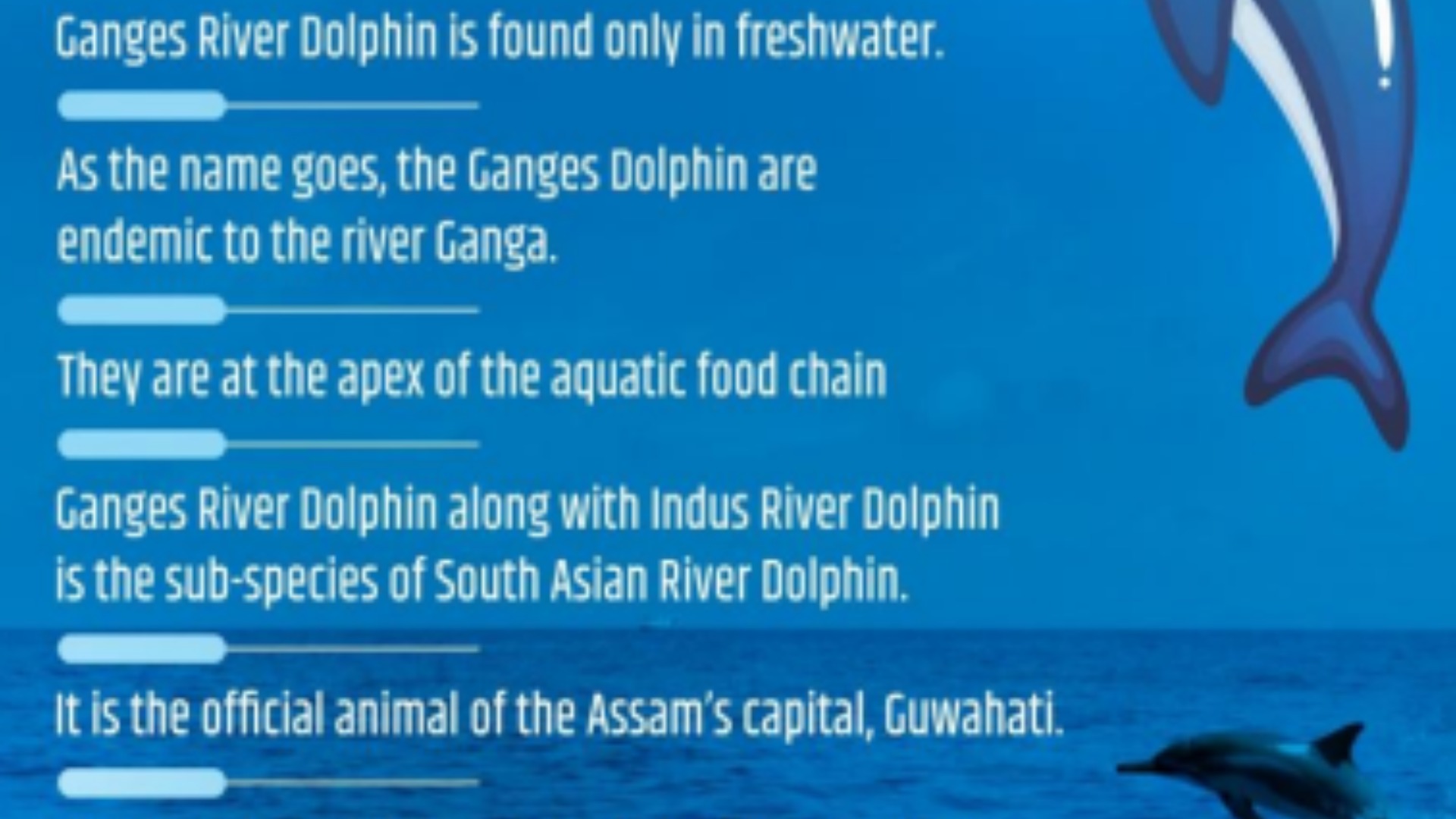 இந்தியாவில் கங்கை ஓங்கில்கள்