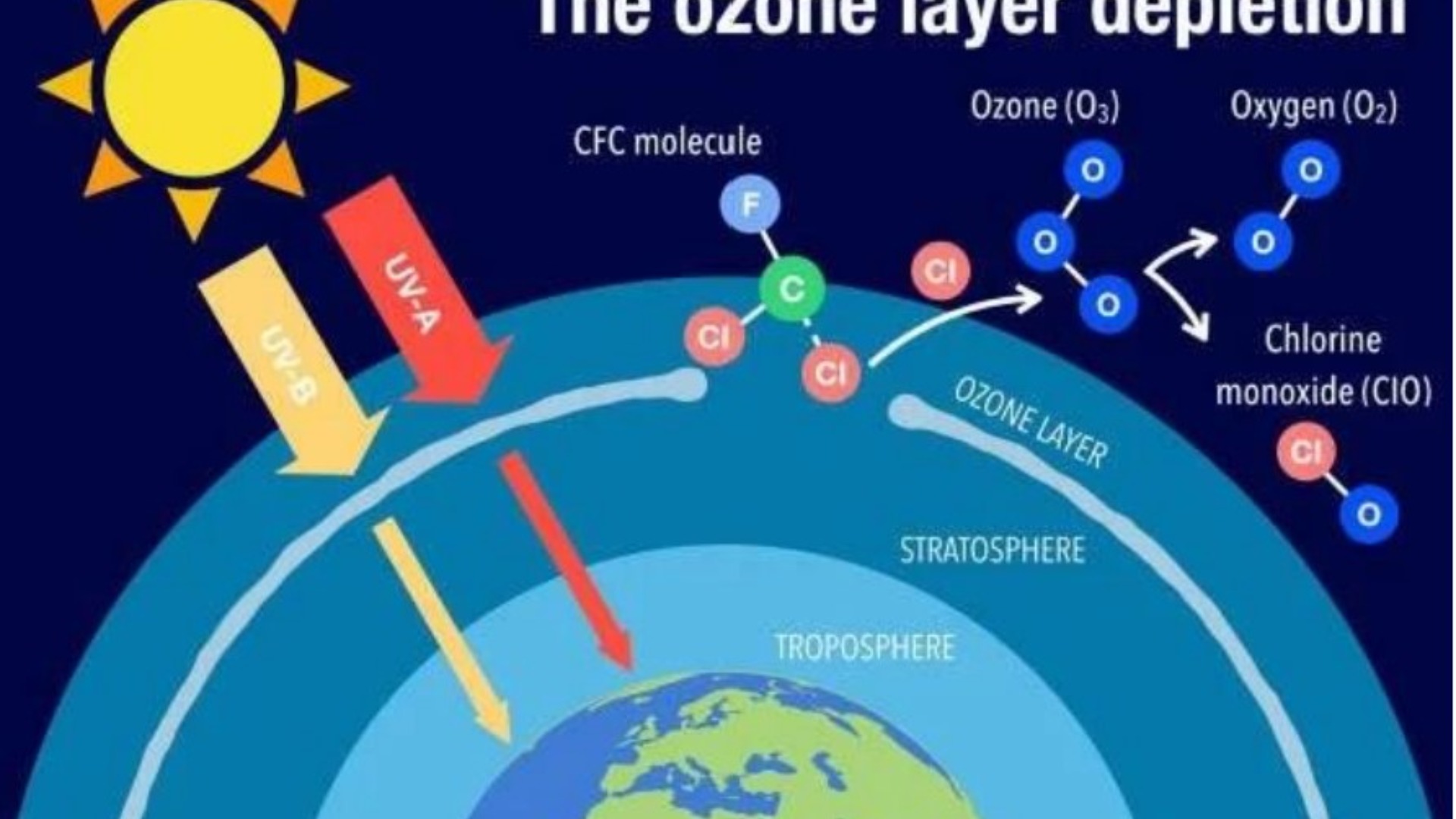 ஓசோன் அளவைக் குறைக்கும் பொருட்கள் 2024