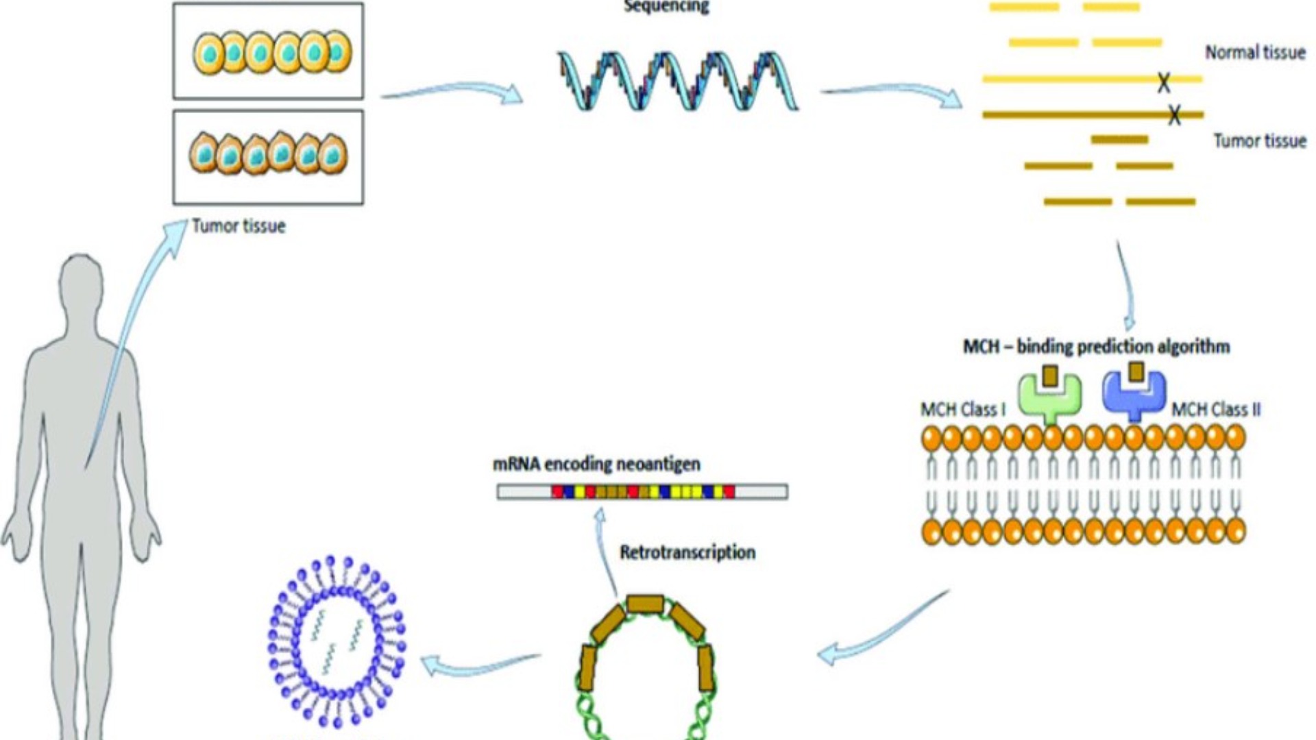 கரும்புற்றுநோய்க்கான தனிப்பயனாக்கப்பட்ட mRNA தடுப்பூசி