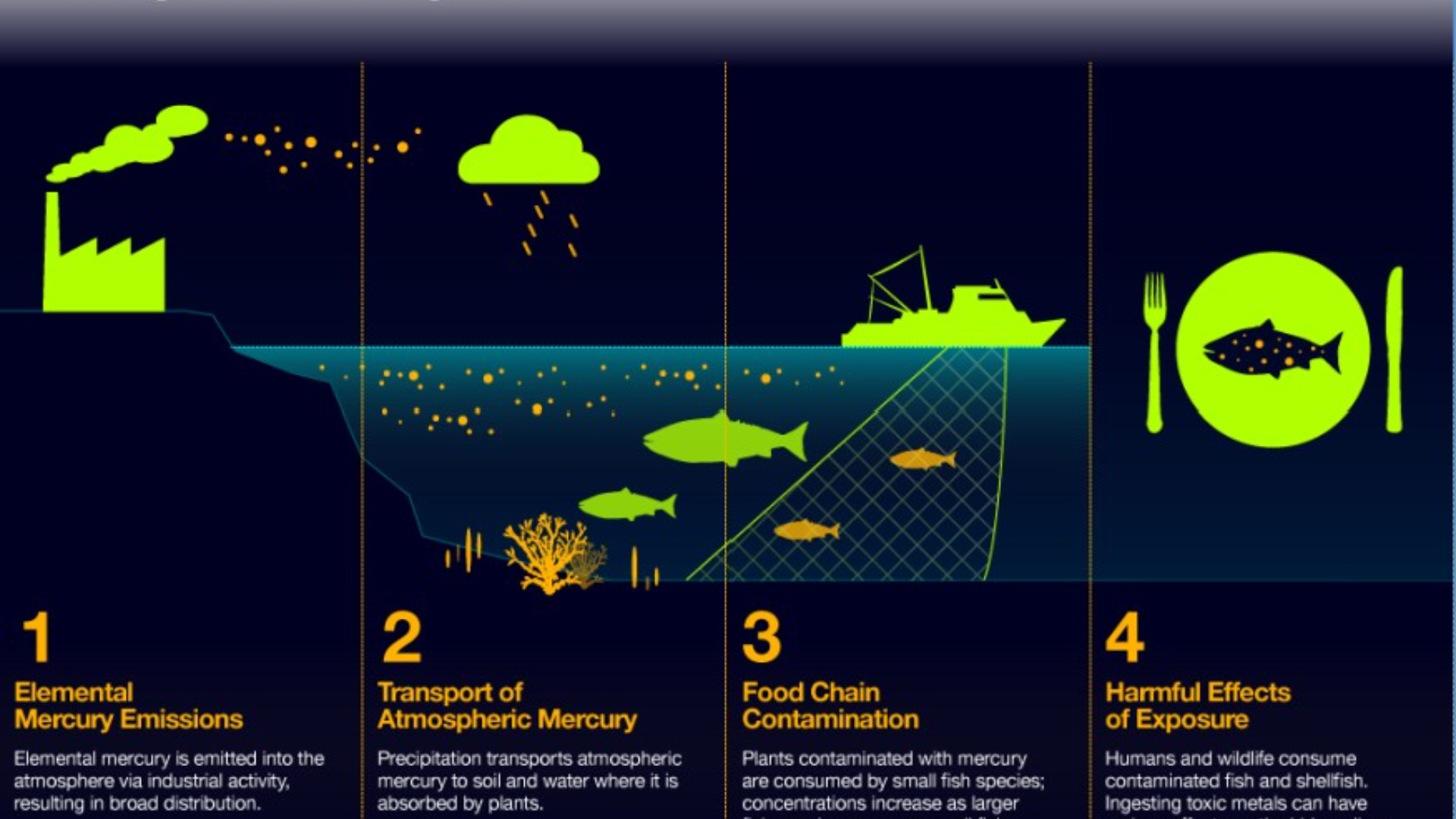 பாதரசம் கொண்ட மருத்துவ சாதனங்களை நீக்குதல்