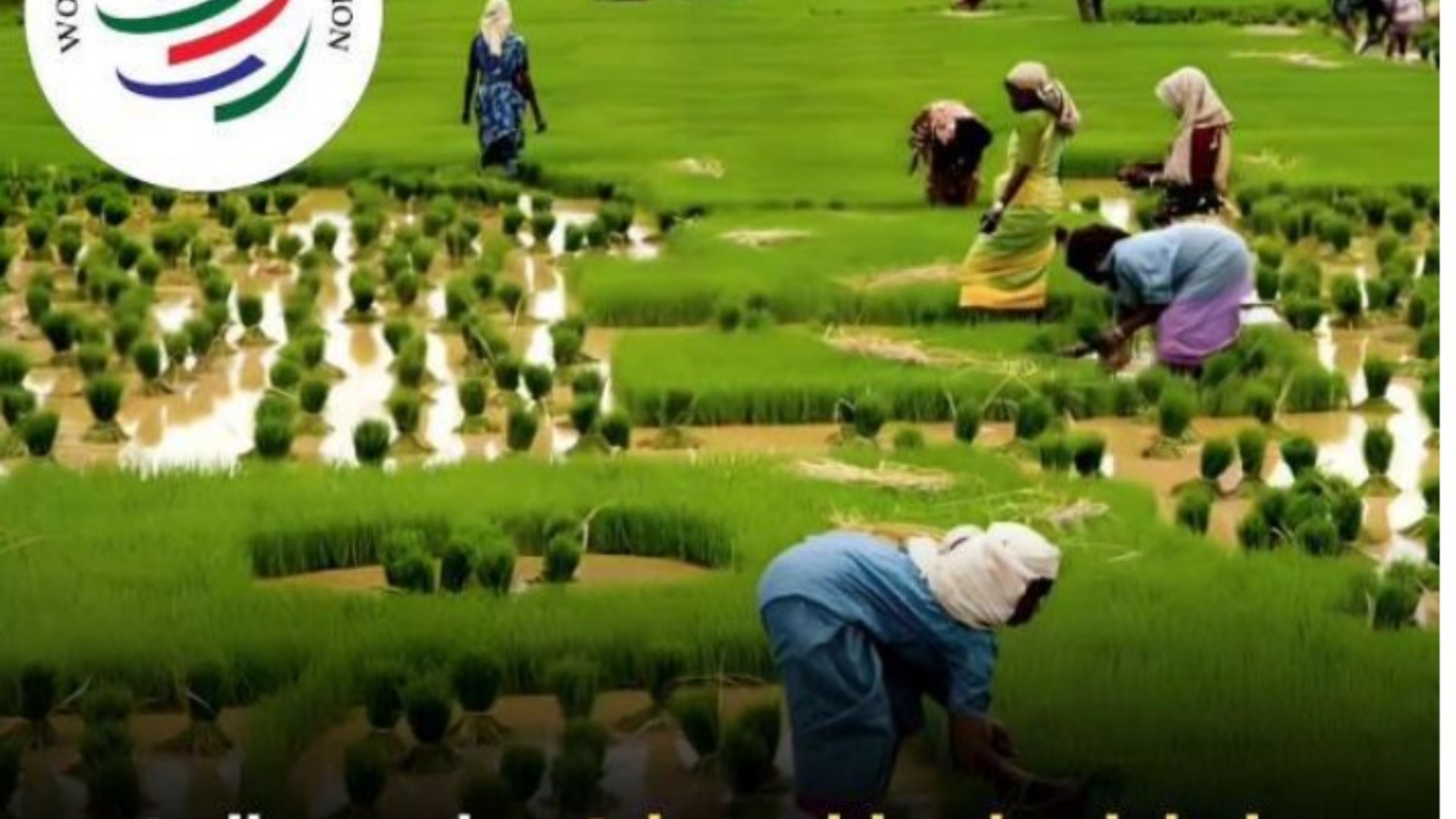 2023 ஆம் ஆண்டில் உலகளாவிய வேளாண் ஏற்றுமதி