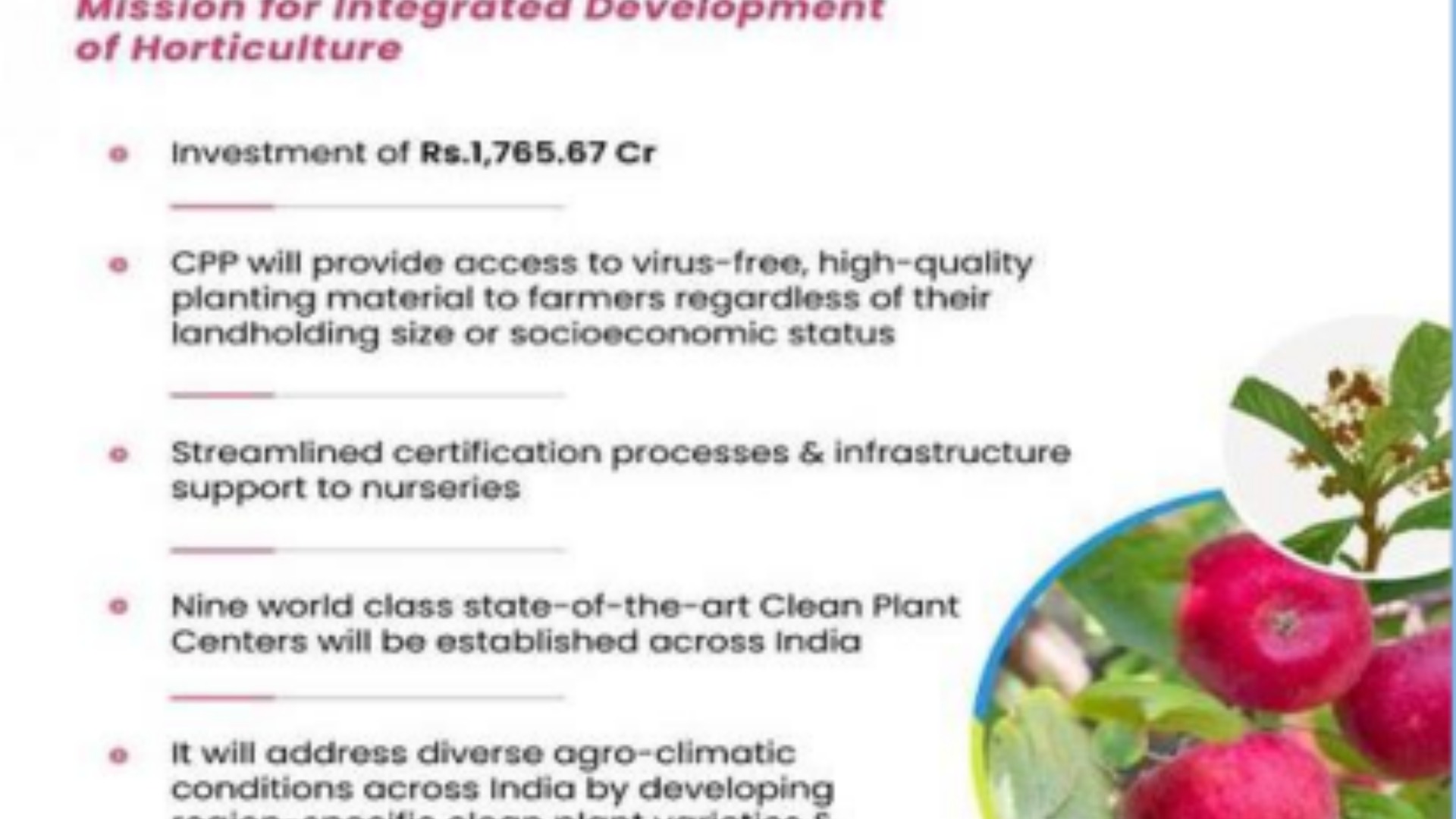 Clean Plant Program 2024