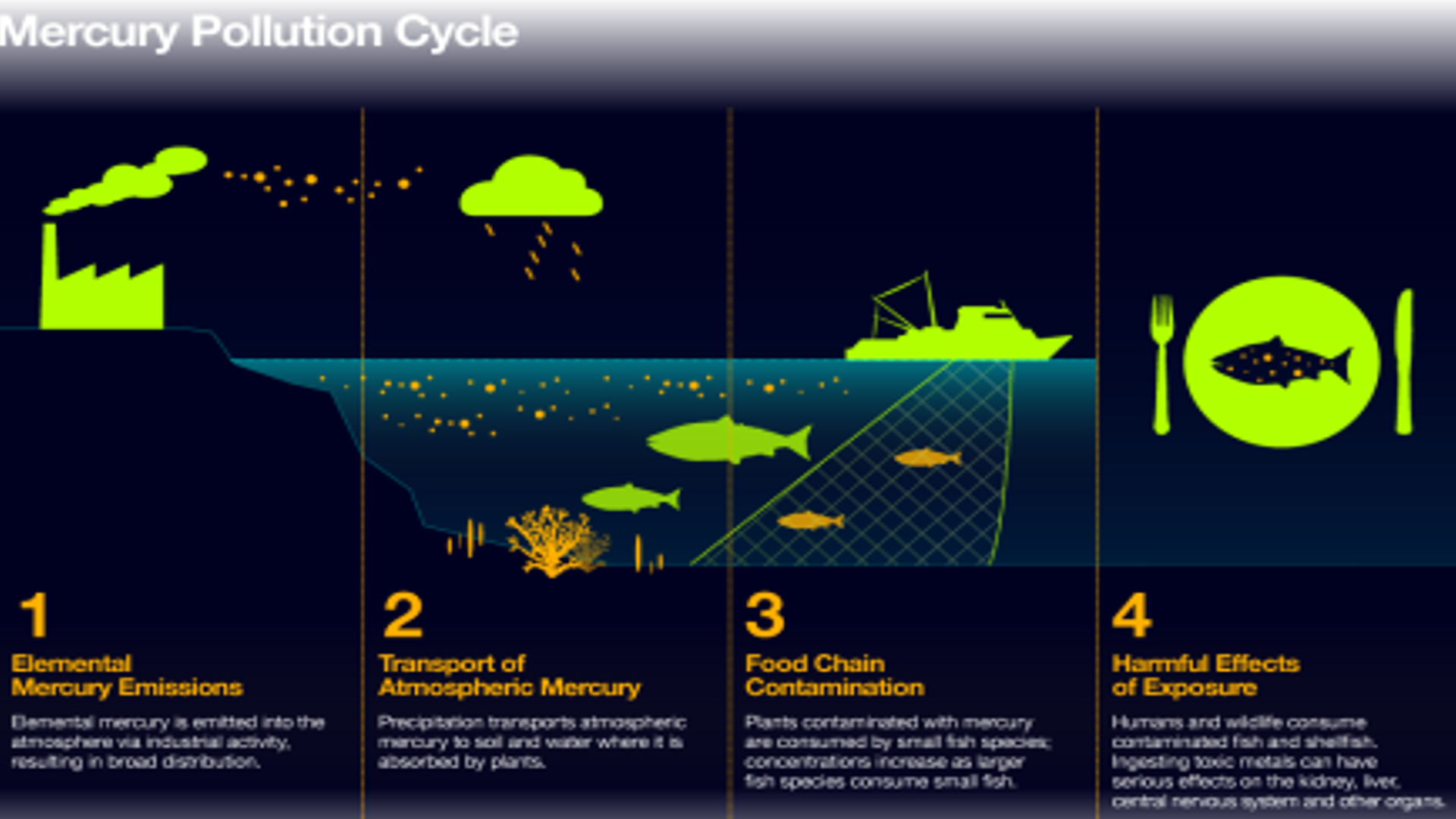 Eliminating Mercury-Containing Medical Devices