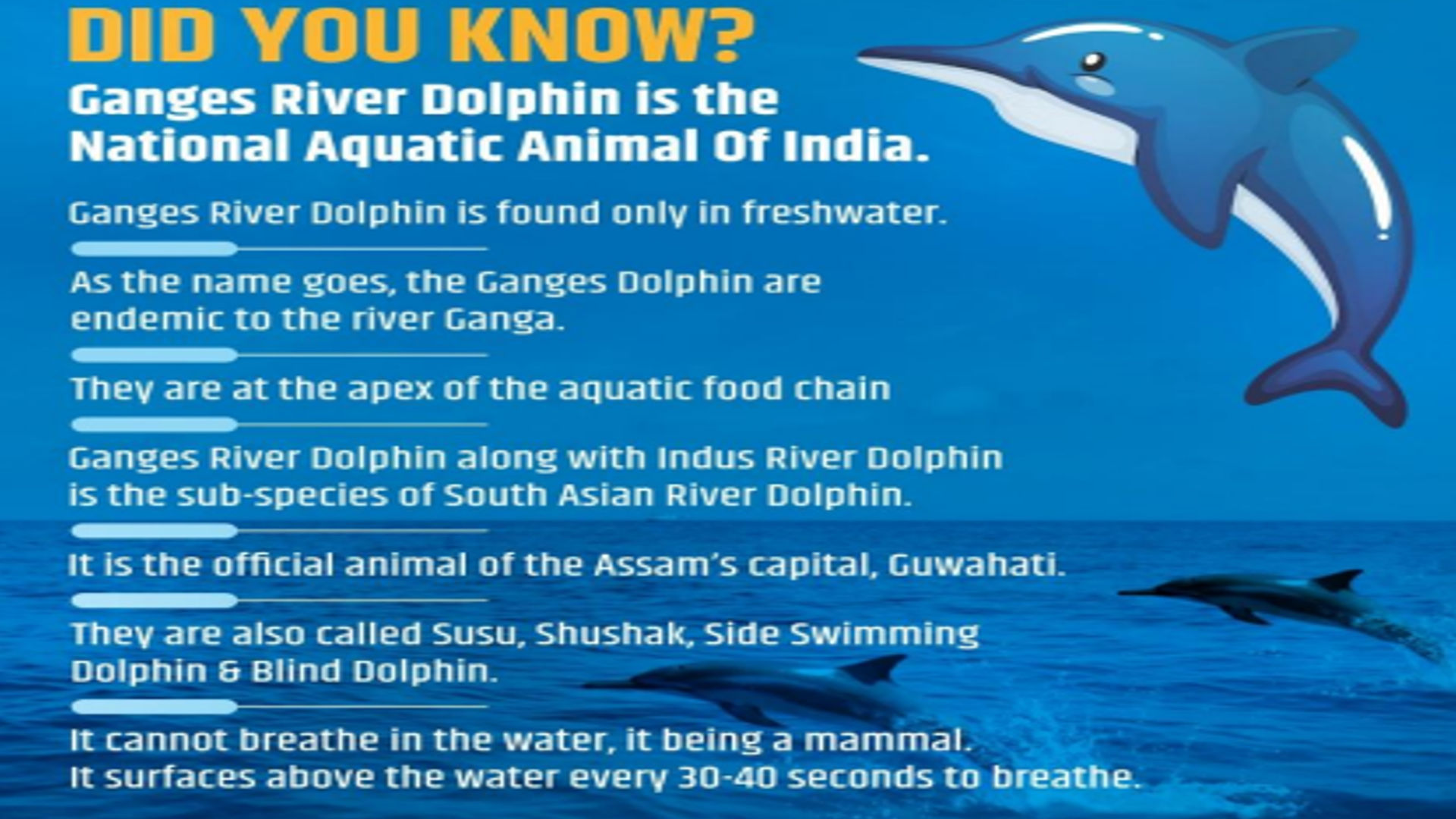 Gangetic Dolphins in India