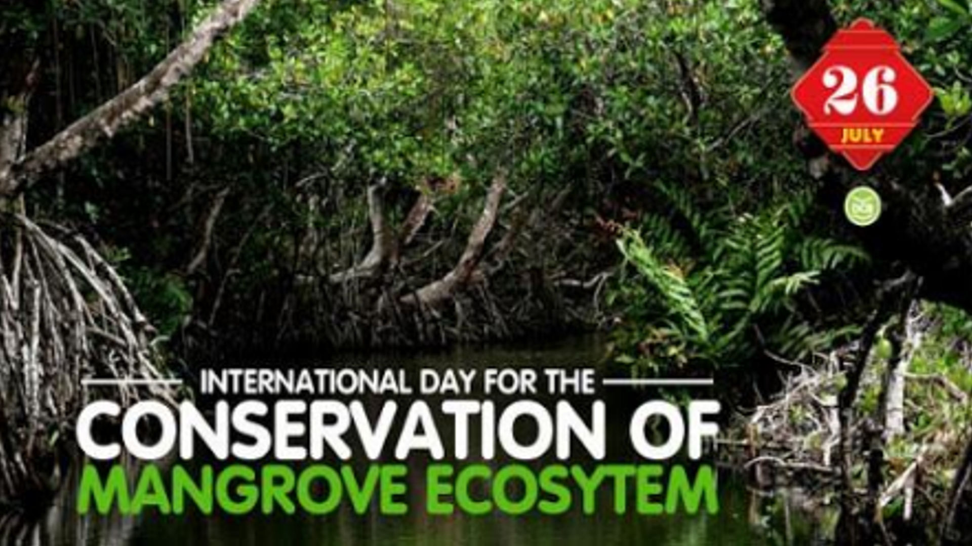 International Day for Conservation of Mangrove Ecosystems 2024 - July 26