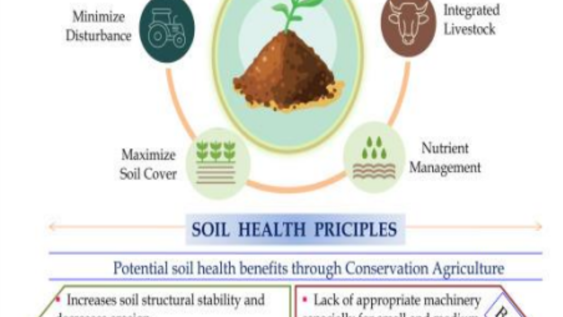 New World Soil Health Index