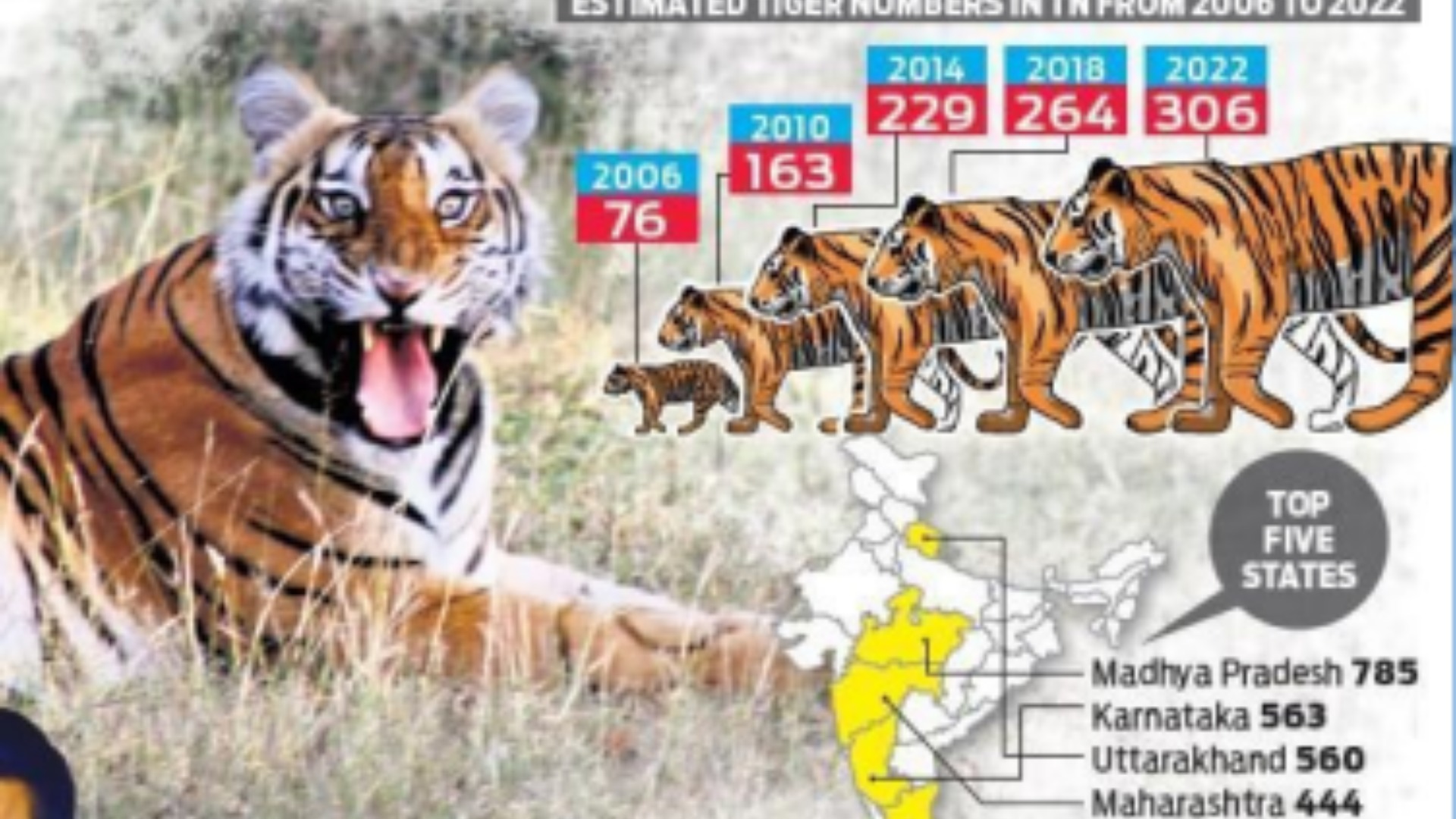 Tiger conservation in Tamilnadu 2024
