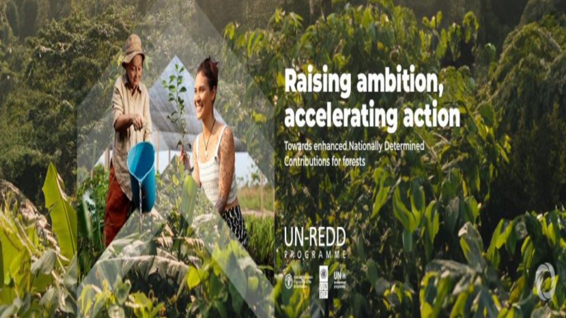 UNEP report on NDCs 2024