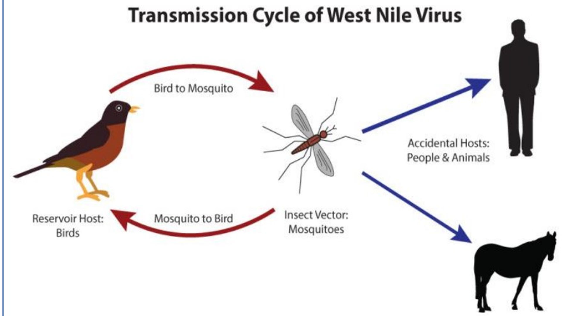 West Nile Virus – Kerala
