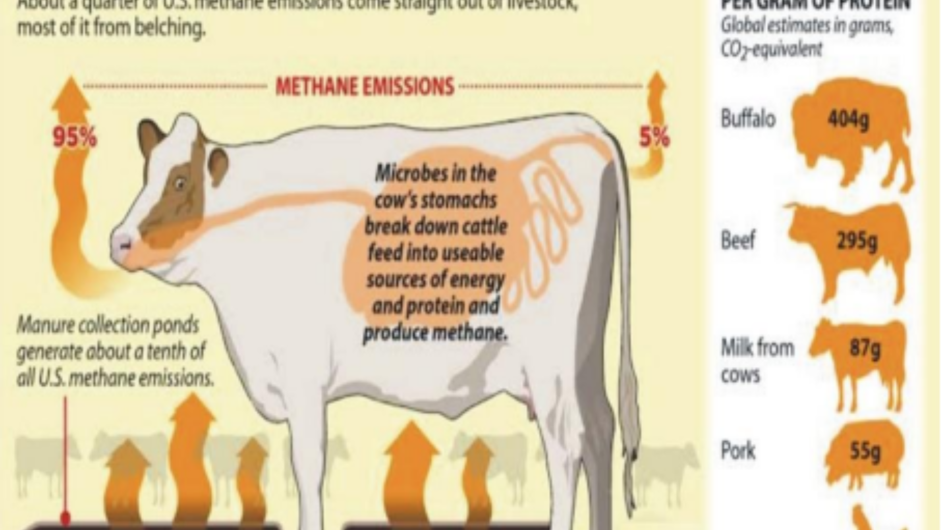 World’s First Carbon Tax on Gassy Cattle